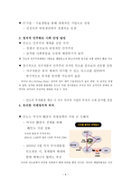 인도 IT산업의 연구 인도 IT산업 강점 인도 IT산업 경쟁력 인도 IT산업 성과 인도경제 인도 IT산업에 대하여 인도 IT산업 분석 인도 IT산업 조사 인도 아이티산업 강점 인도 아이티산업 경쟁력-8
