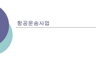 항공운송사업 레포트-1