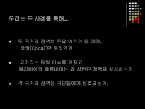 볼리비아와 콜롬비아의 코카 정책 비교 볼리비아 코카인 콜롬비아 코카인-3