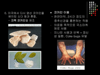 볼리비아와 콜롬비아의 코카 정책 비교 볼리비아 코카인 콜롬비아 코카인-8