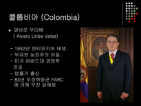 볼리비아와 콜롬비아의 코카 정책 비교 볼리비아 코카인 콜롬비아 코카인-11