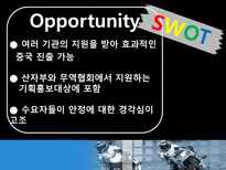 헬멧의 기적 HJC HJC 소개 HJC SWOT 분석 HJC STP 분석 HJC 해외진출 현황 HJC-12