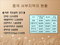 사회과학 중국의 지역격차-8