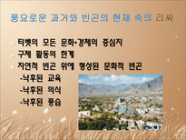 사회과학 중국의 지역격차-12