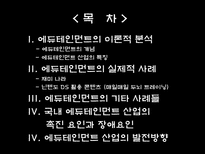 에듀테인먼트 에듀테인먼트 이론적 분석 에듀테인먼트 개념 에듀테인먼트 산업-2