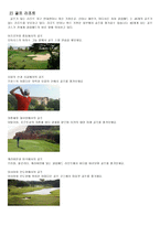 클럽매드 클럽매드 성공요인 클럽매드 SWOT 분석 클럽매드 G O 클럽매드 RESORT-6