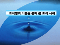 조직행위이론을 통해 본 조직 사례 조직행위이론 BSC 경영 조직행위이론 ERG 경영-1