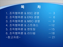 조직행위이론을 통해 본 조직 사례 조직행위이론 BSC 경영 조직행위이론 ERG 경영-2
