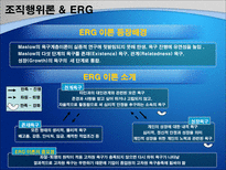 조직행위이론을 통해 본 조직 사례 조직행위이론 BSC 경영 조직행위이론 ERG 경영-6