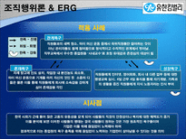 조직행위이론을 통해 본 조직 사례 조직행위이론 BSC 경영 조직행위이론 ERG 경영-8
