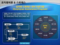 조직행위이론을 통해 본 조직 사례 조직행위이론 BSC 경영 조직행위이론 ERG 경영-13