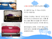교통기관 안전-14