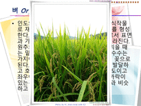 기후변화가 농가의 벼 경영비에 미치는 영향-8