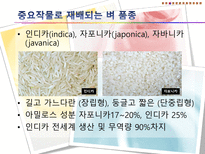 기후변화가 농가의 벼 경영비에 미치는 영향-9