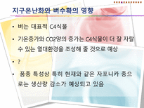 기후변화가 농가의 벼 경영비에 미치는 영향-13