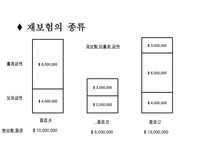 법학 재보험Re_insurance-12