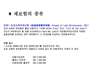 법학 재보험Re_insurance-18