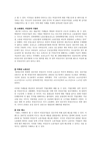 우리나라 비정규직 문제의 배경과 현황 그리고 전망에 대하여-7