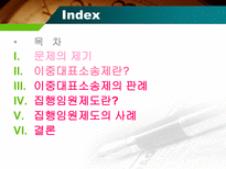 이중대표소송제 집행임원제도-2