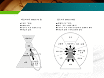 이중대표소송제 집행임원제도-14