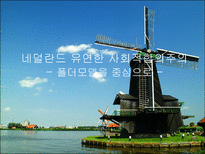 사회과학 네덜란드 유연한 사회적합의주의 폴더모델을 중심으로-1