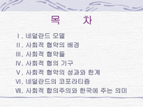 사회과학 네덜란드 유연한 사회적합의주의 폴더모델을 중심으로-2