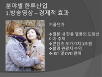 한류와 경제 한류 정의 한류 영향력 예술 속 한류 산업 방송영상 한류산업 음반-8
