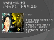 한류와 경제 한류 정의 한류 영향력 예술 속 한류 산업 방송영상 한류산업 음반-9