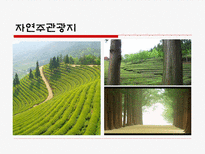 자연관광자원 레포트-7