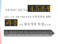 기업정보의 이해 노루페인트 vs 삼화페인트-12