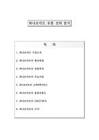 하나로마트 유통 전략 분석 하나로마트 기업소개 하나로마트 형성배경 하나로마트-1