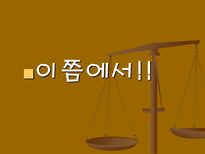 외국인 노동자의 선거권-13