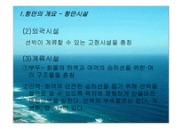 화물운송론 항만-5