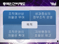 지방행정론 총액인건비 제도-4