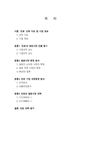 진로소주의 일본시장전략 기업 내적 외적 요소 내부 환경 분석 조직분석 상품라인-2