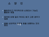 현대인을 위한 보양식-9