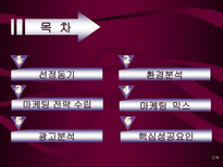 롯데 자일리톨 광고분석 자일리톨 환경분석 자일리톨 마케팅 전략-2