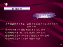 롯데 자일리톨 광고분석 자일리톨 환경분석 자일리톨 마케팅 전략-8