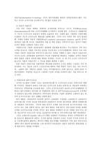 구조조정 레포트-20