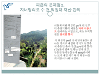 피죤 기업 윤리 피죤 기업 소개 피죤 신문 기사 소개 피죤 신문기사 설명-11