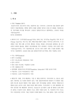 비교발전행정론 태국의 국가 분석 보고서-3