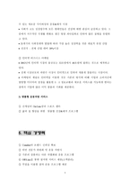 [사업계획서]인터넷 다이어트 사업계획서-4