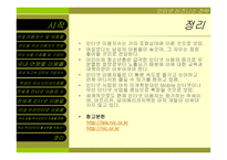 [인터넷비즈니스전략]인터넷 이용자현황 조사-13