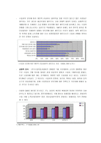 [마케팅관리] 푸조자동차의 신시장 진입전략-7