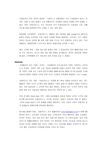 [마케팅관리] 푸조자동차의 신시장 진입전략-11