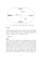 [마케팅비교분석]`위스퍼`와 `화이트` 마케팅믹스분석-20