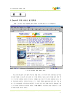 [인터넷비즈니스] `다음` 경영분석 및 나갈 방향-6