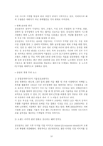 [국제경영학] 글로벌경영전략- 컴퓨터산업분석-19