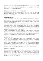 [국제경영] 태평양화장품 `AMOREPACIFIC`의 핵심역량 분석-7
