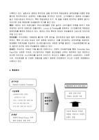 [국제경영] 태평양화장품 `AMOREPACIFIC`의 핵심역량 분석-15